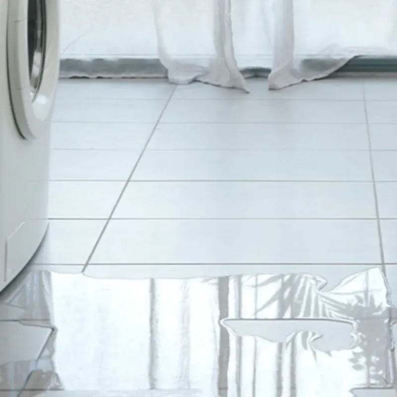 Appliance Leak Cleanup in Hennepin, IL