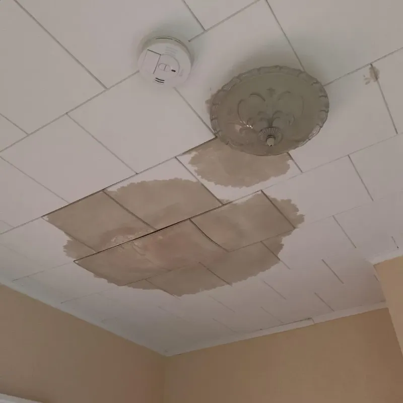 Ceiling Water Damage Repair in Hennepin, IL