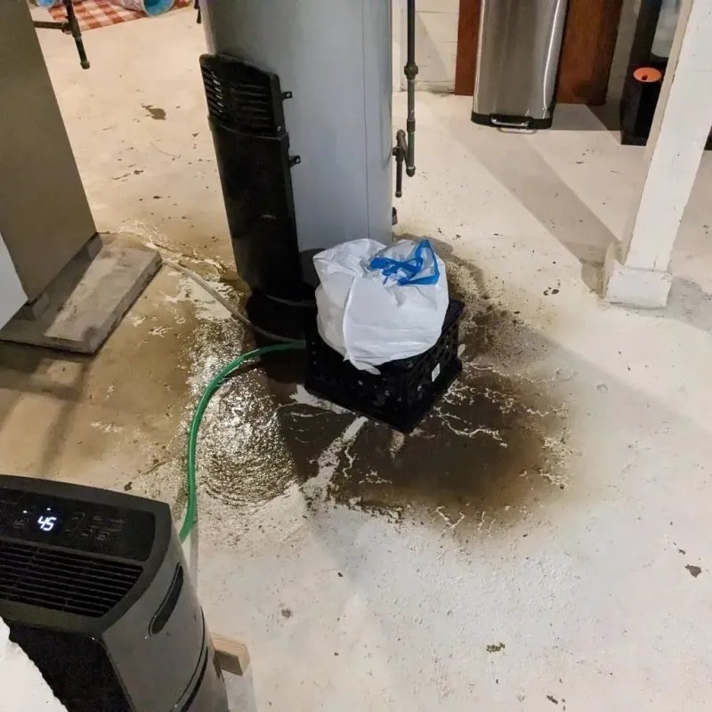 Sewage Backup Cleanup Service in Hennepin, IL